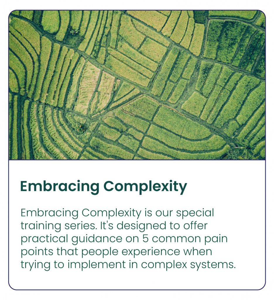 image of rice fields with multiple intersecting lines